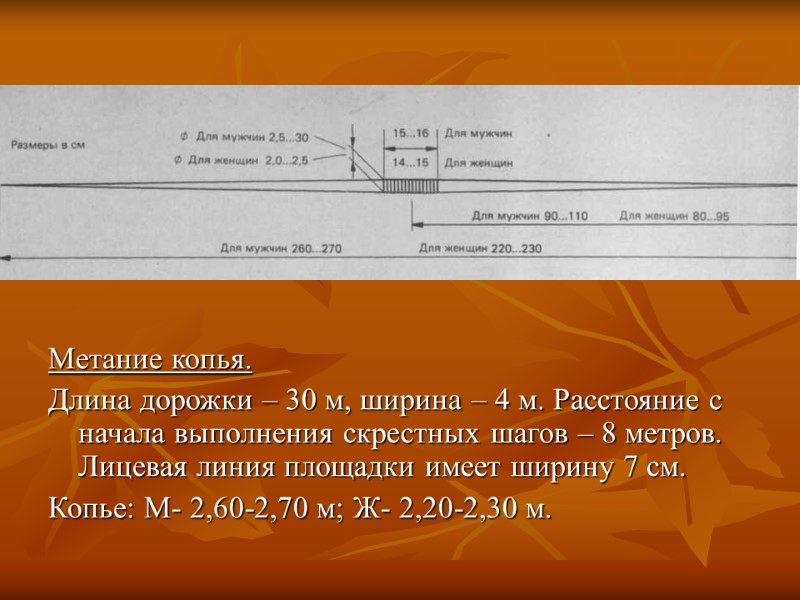 Метание копья.  Длина дорожки – 30 м, ширина – 4 м. Расстояние с
